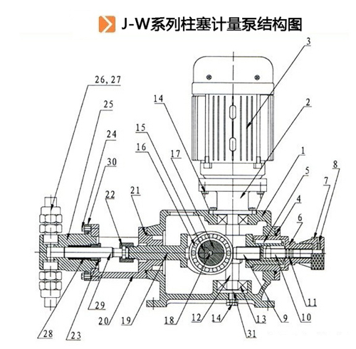 J-W系列柱塞計量泵結構圖.jpg