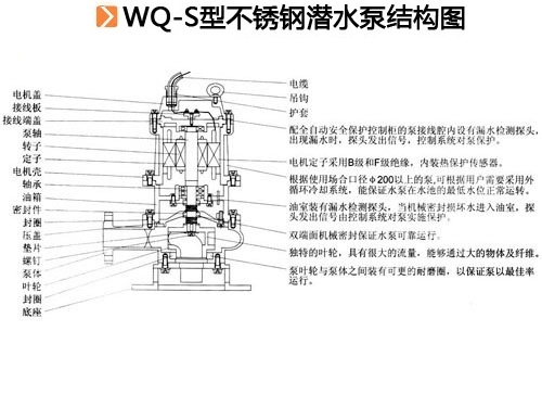 WQ-S型不銹鋼潛水泵結構圖.jpg