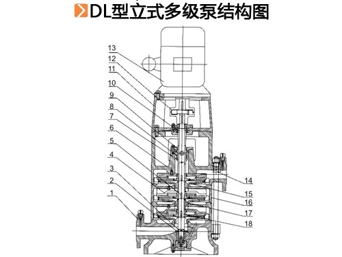 DL型立式多級泵結構圖.jpg