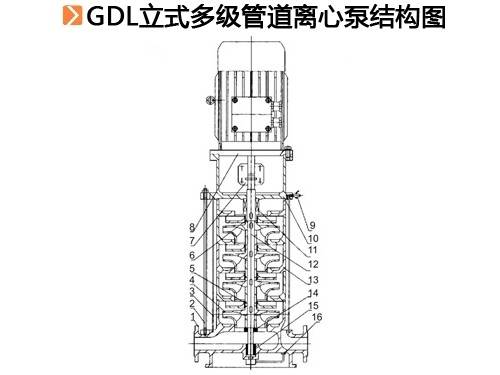 GDL立式多級管道離心泵結構圖.jpg