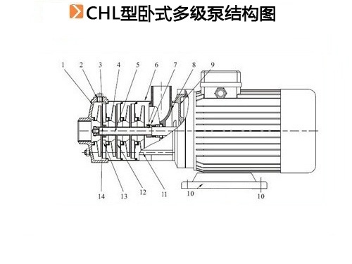 CHL型臥式多級泵結構圖1.jpg