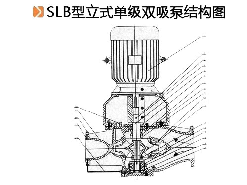 SLB型立式單級雙吸泵.jpg