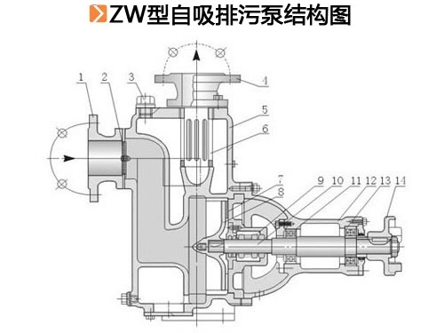 ZW型自吸排污泵.jpg