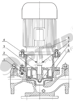 L型離心泵安結構圖400.jpg